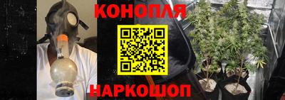 ПСИЛОЦИБИНОВЫЕ ГРИБЫ Жуковский