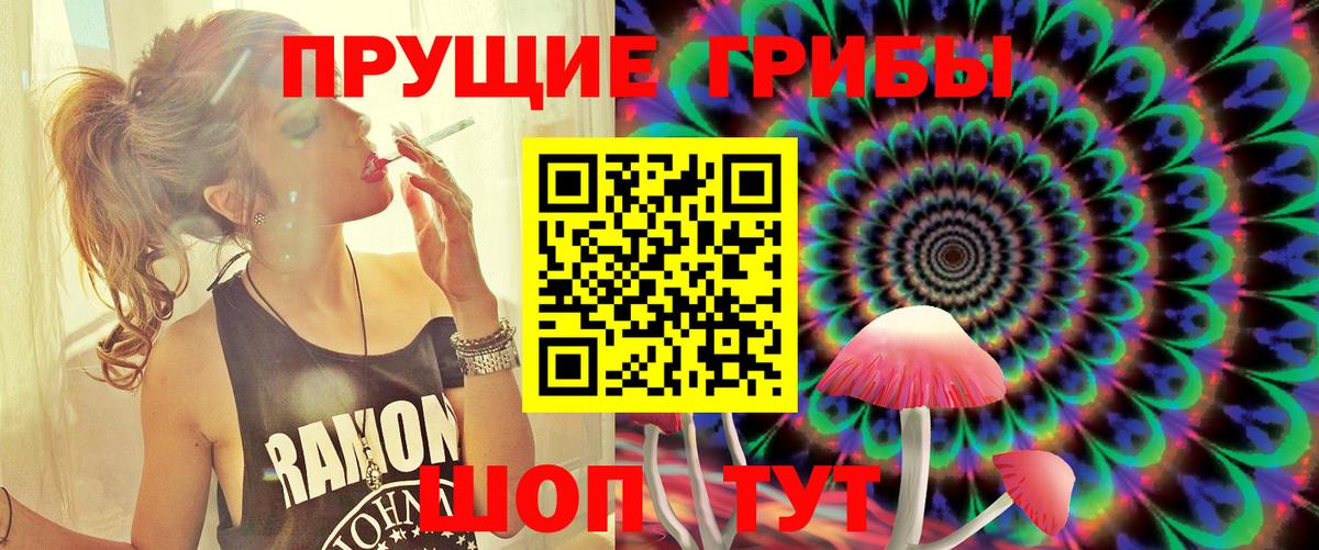 Псилоцибиновые грибы Cubensis Горно-Алтайск